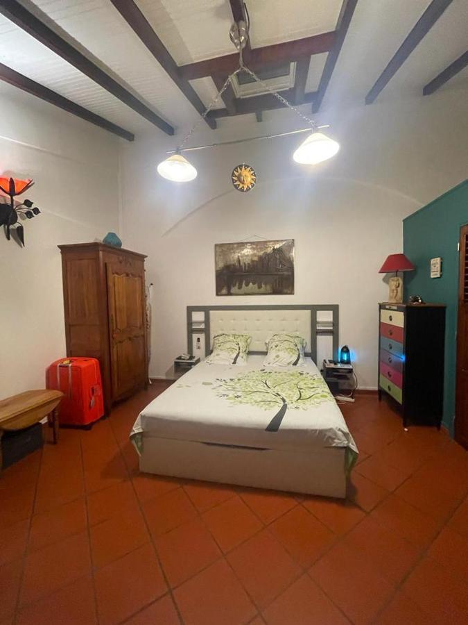 Appartement Alpinia à Sainte-Anne Extérieur photo
