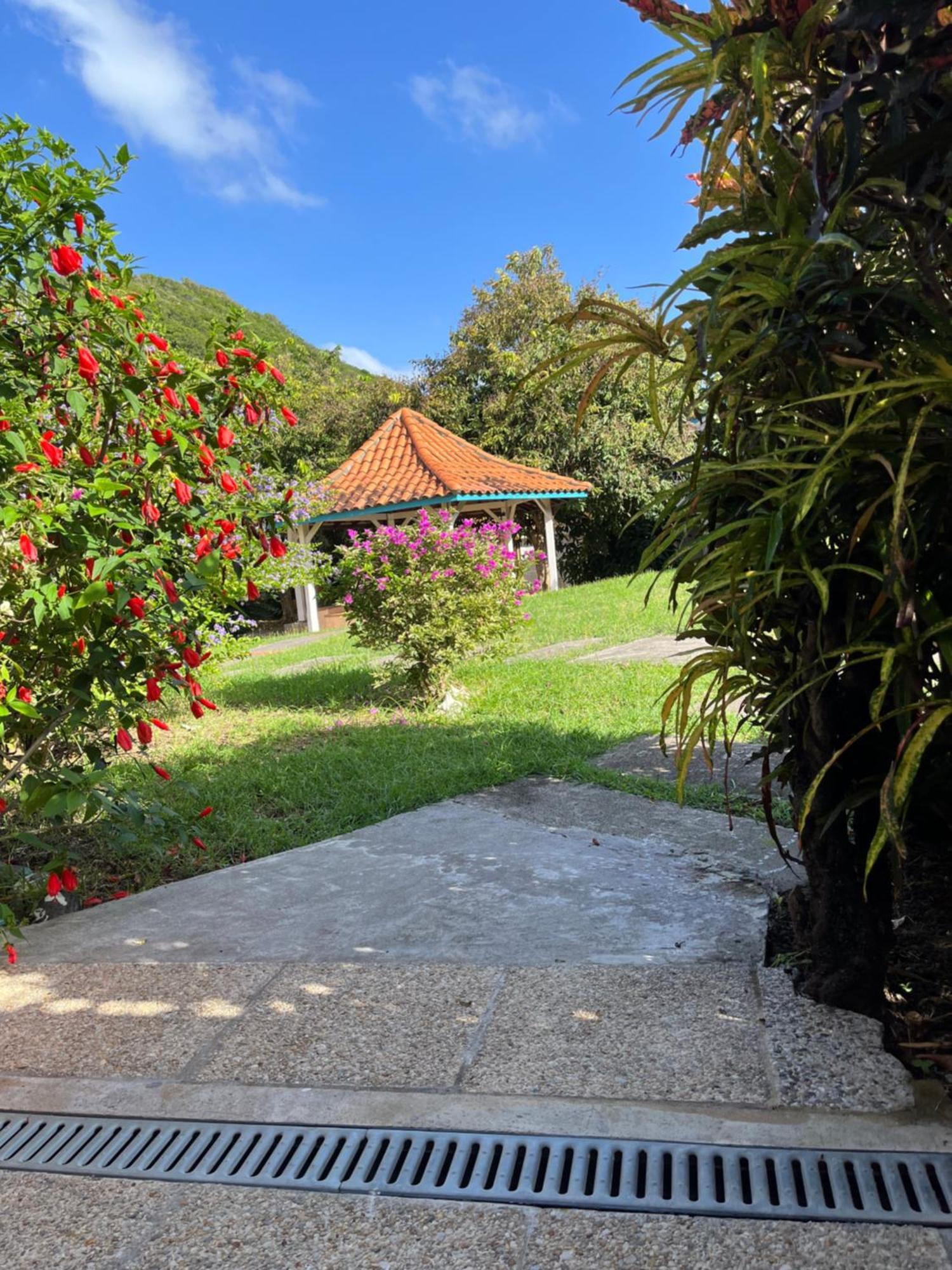 Appartement Alpinia à Sainte-Anne Extérieur photo